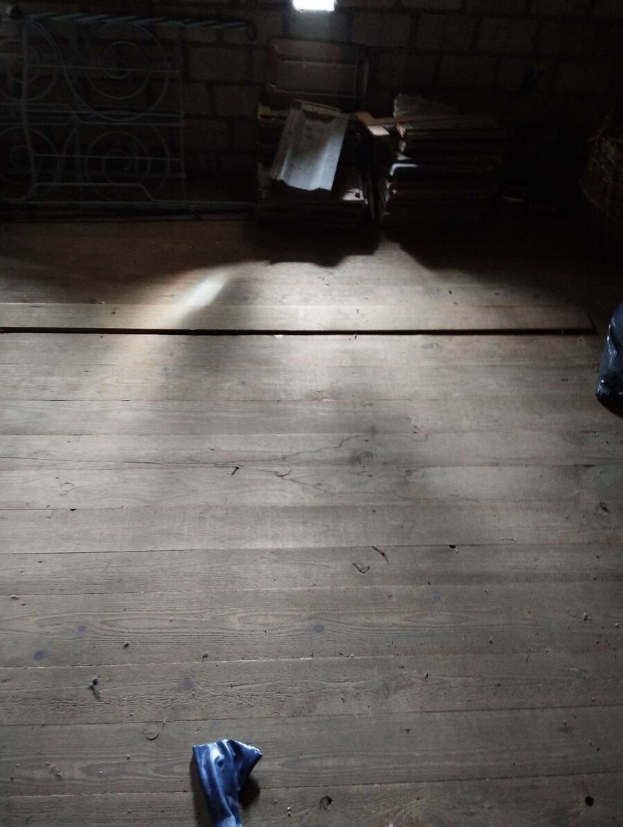 Bee nest at the house remove