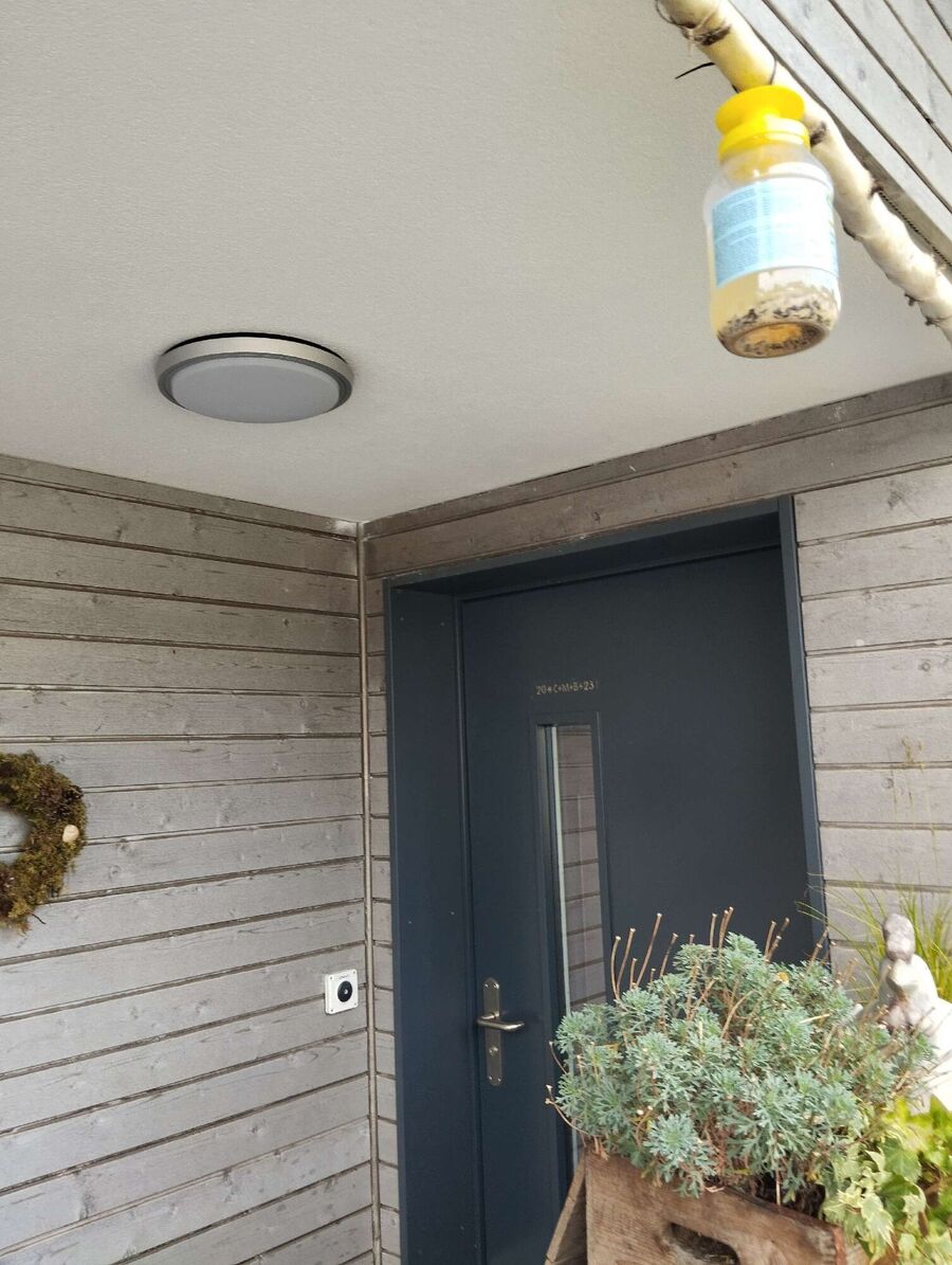 Bee nest at the house remove