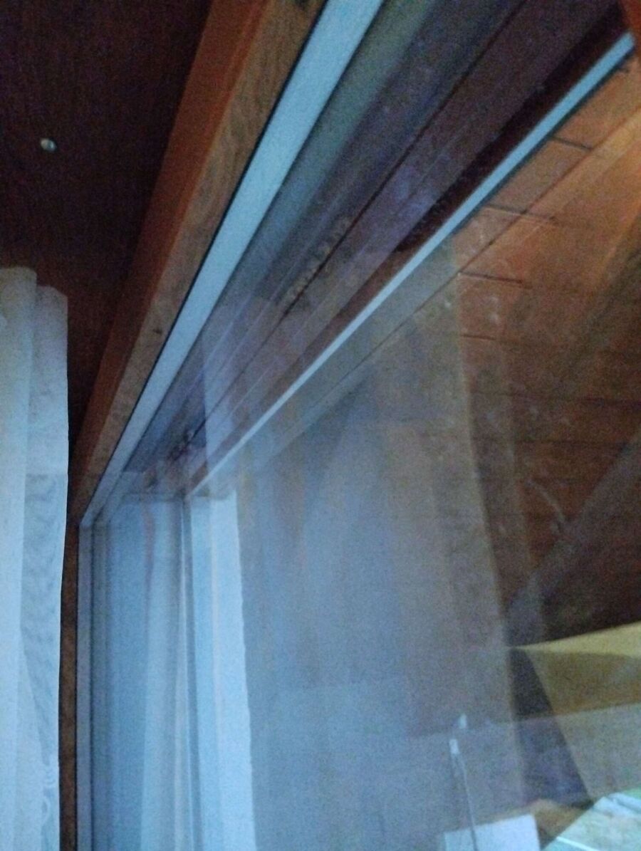 Bee nest at the house remove