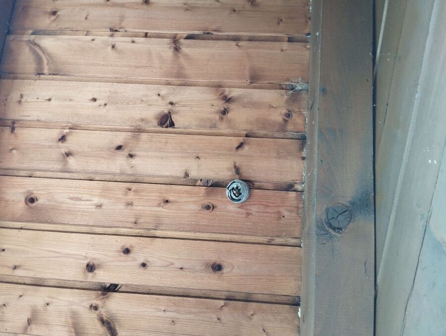 Relocate bees & remove bee nest