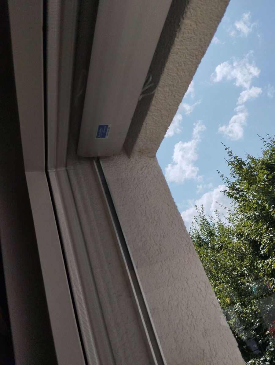 Bee nest at the house remove