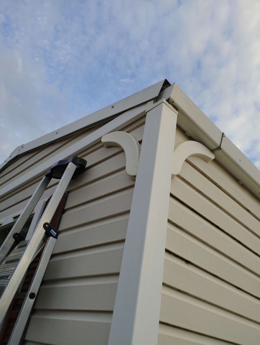 Bee nest at the house remove