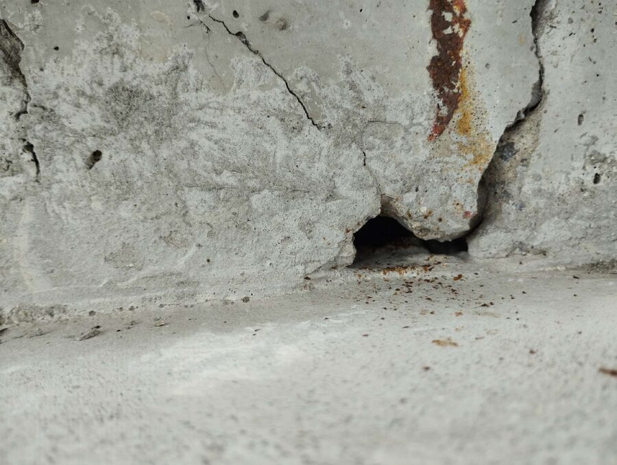 Bee nest at the house remove