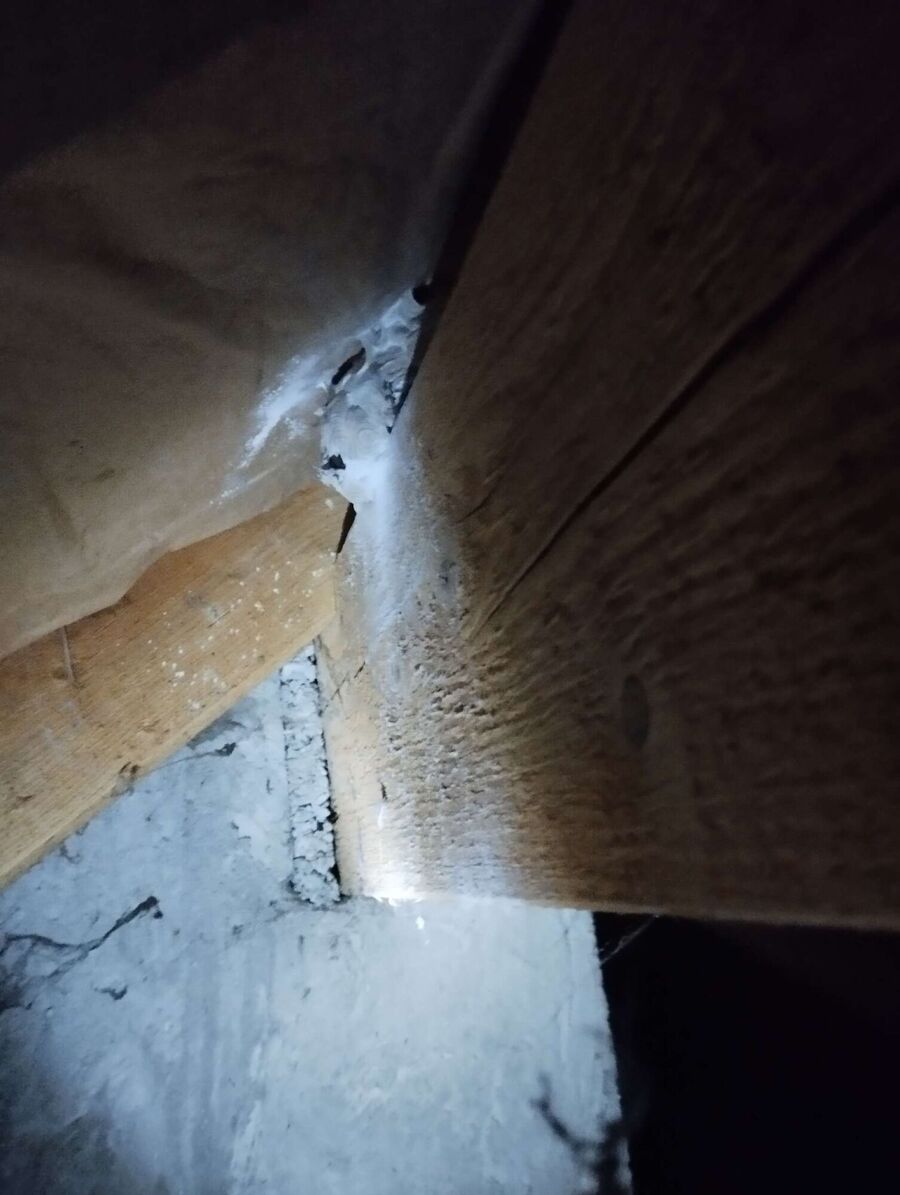 Bee nest at the house remove