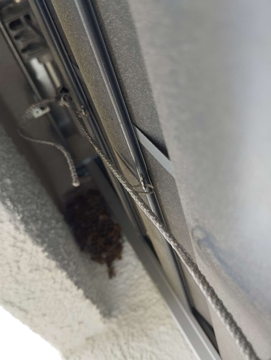 Bee nest at the house remove