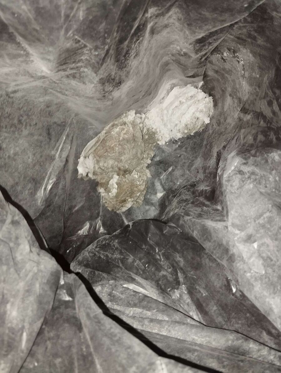 Relocate bees & remove bee nest