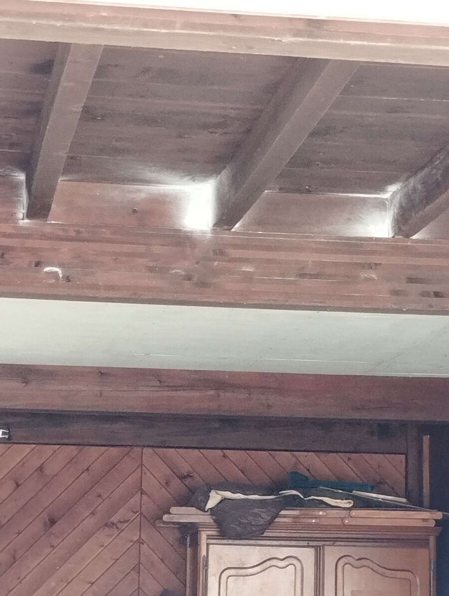 Bee nest at the house remove