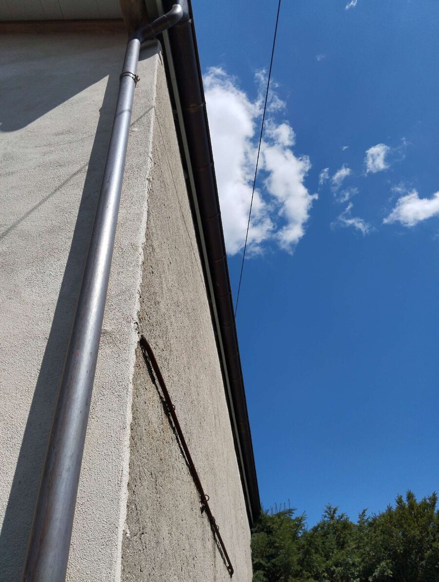 Relocate bees & remove bee nest