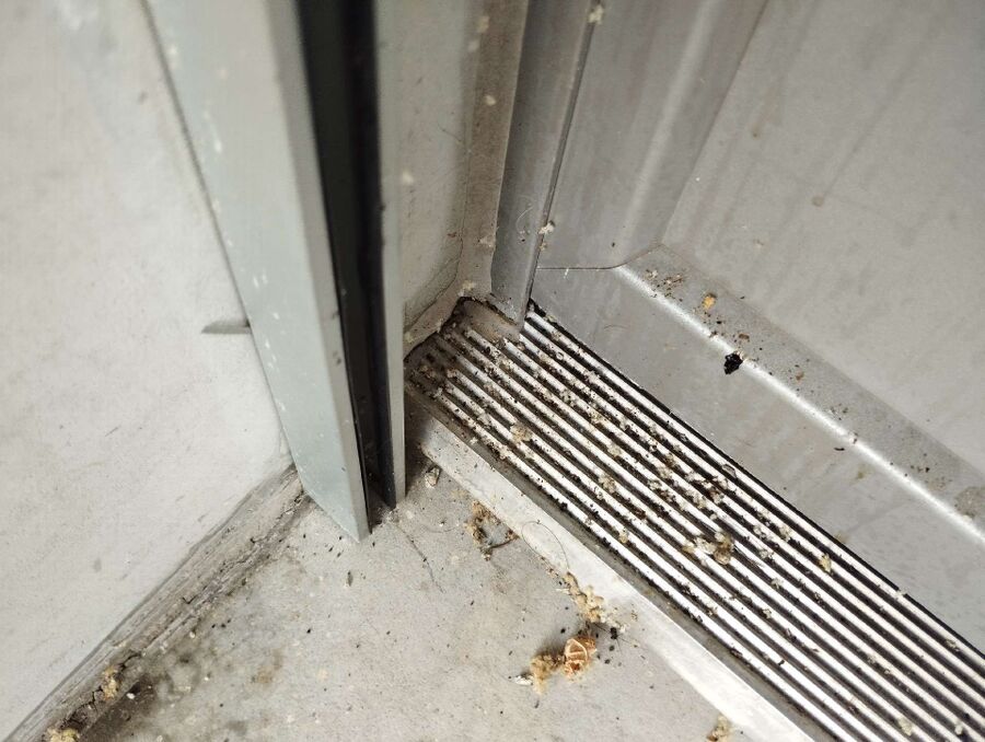 Bee nest at the house remove