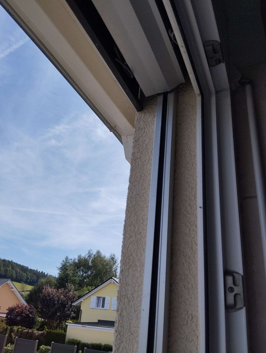 Bee nest at the house remove