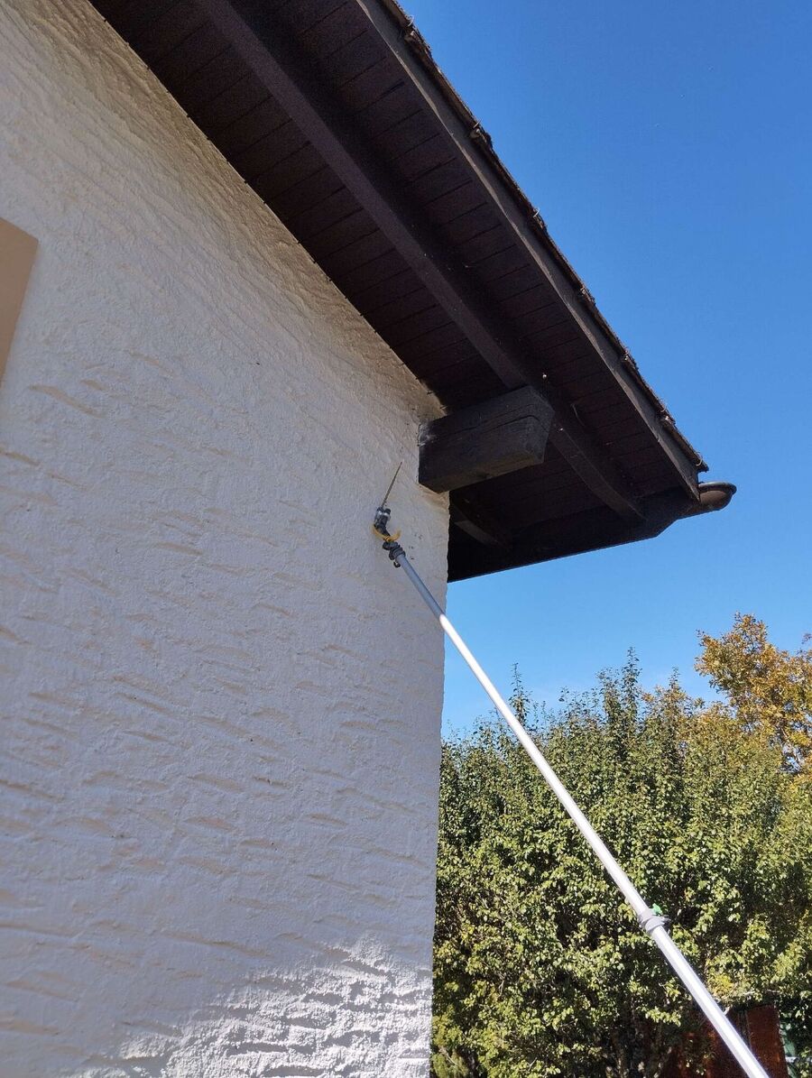 Bee nest at the house remove